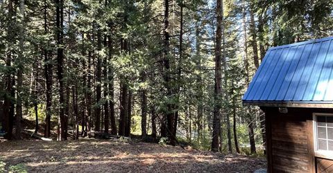 44200 Highway 20, Emigrant Gap, CA 95715 Photo