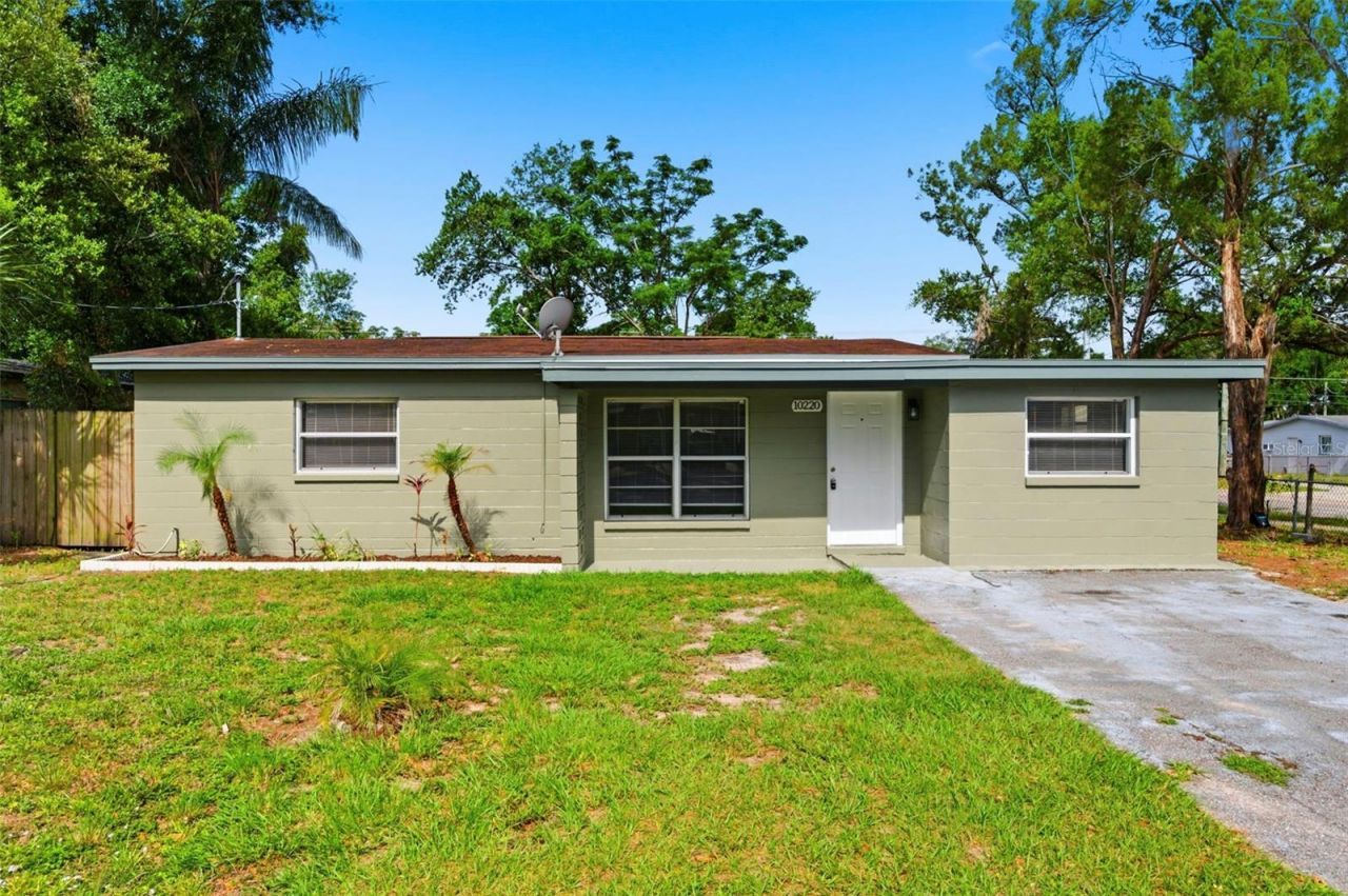 10220 N 23rd Street, Tampa, FL 33612 Photo