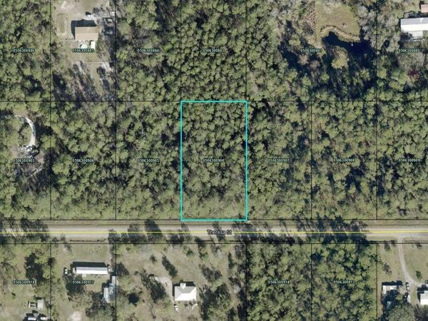 THERESA STREET , HASTINGS, FL 32145