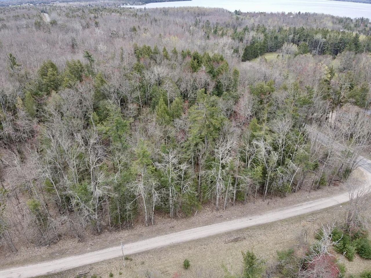 Par 2 Needles Road, Indian River, MI 49749 Main Photo