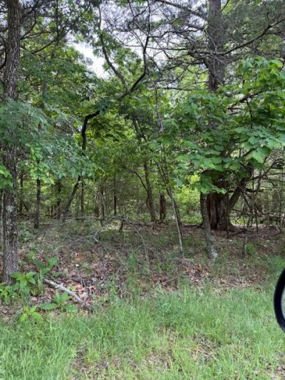 Lot 67 Rocky Ridge Place, Garfield, AR 72732 Main Photo