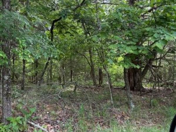 Lot 67 Rocky Ridge Place, Garfield, AR 72732
