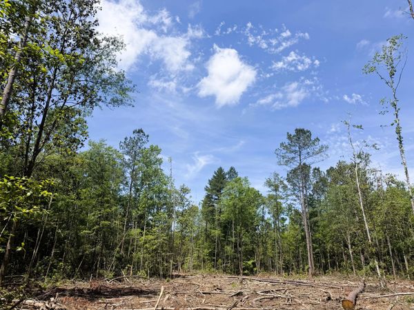 00 301C1, Brooklyn, MS 39425