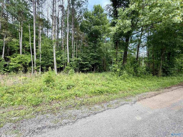 3.90 County Road 235, Leesburg, AL 35983
