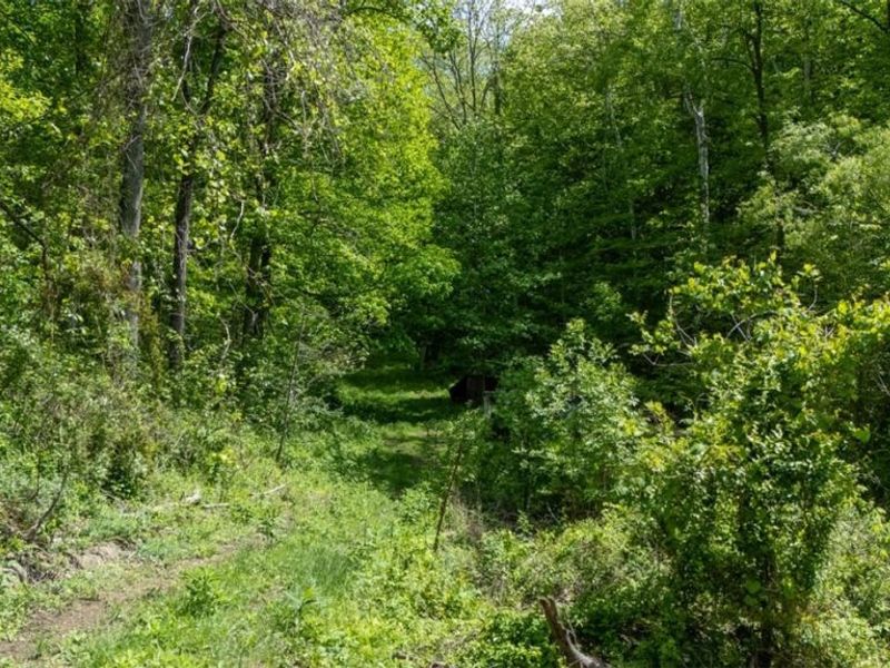 1660 State Route 144, Coolville, OH 45724 Photo 12