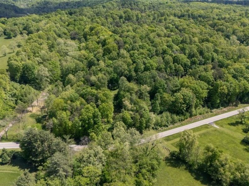 1660 State Route 144, Coolville, OH 45724 Photo 18