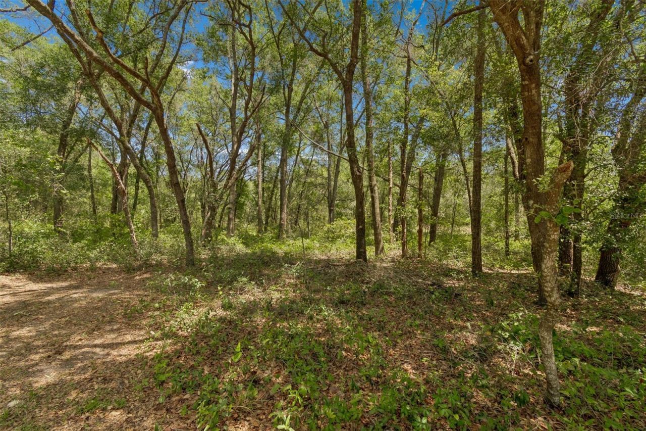 3757 E Side Court , Inverness, FL 34453 Photo