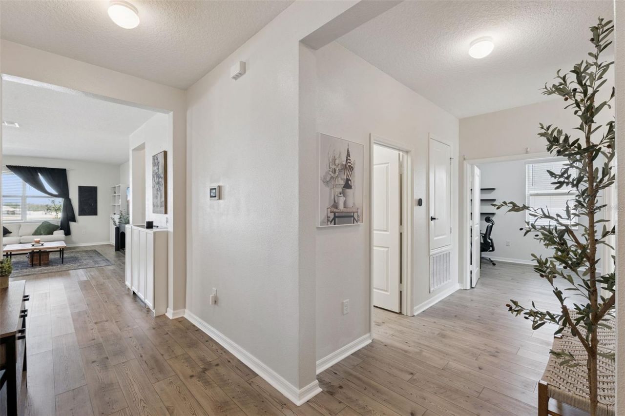 2429 Begonia Street, Mascotte, FL 34753 Photo