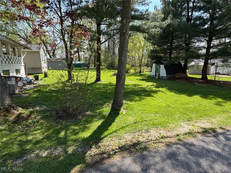 164 N Avon Avenue, Wadsworth, OH 44281 Photo 12