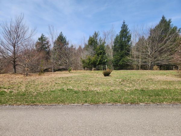 N Slope Drive, Unit 93, Onekama, MI 49675