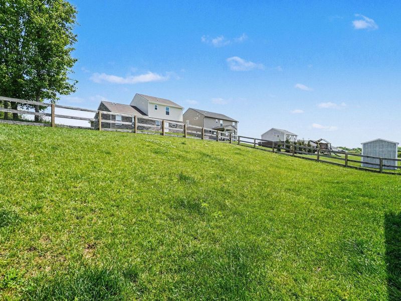 10691 Blooming Court, Independence, KY 41051 Photo 25