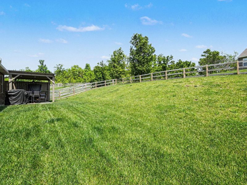 10691 Blooming Court, Independence, KY 41051 Photo 26