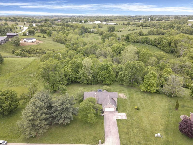 13050 Farmview Drive, Independence, KY 41051 Photo 47