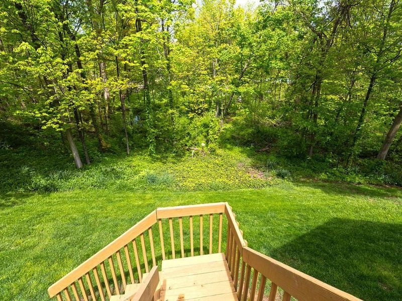 7686 Pinehill Road, Lewis Center, OH 43035 Photo 59