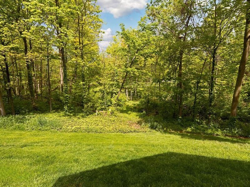 7686 Pinehill Road, Lewis Center, OH 43035 Photo 60