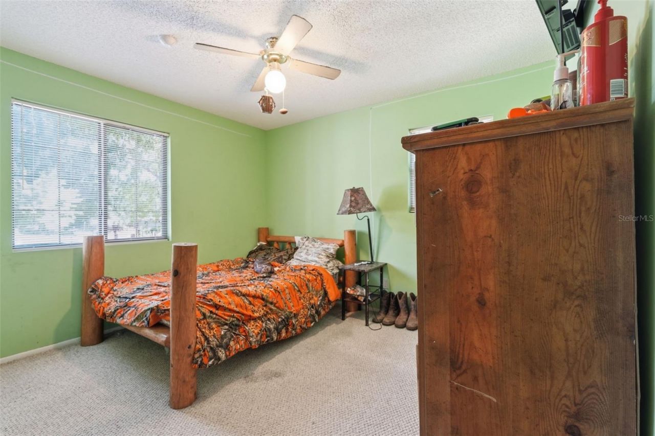 3607 Cr 656 , Webster, FL 33597 Photo