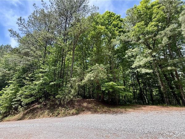 0 Nectar Lane, Ellijay, GA 30540