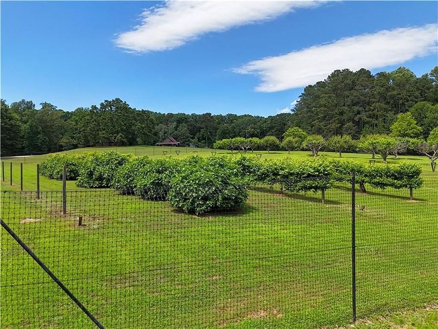 Property Image 131