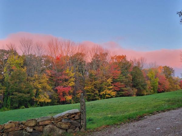 off McCrea Road, Temple, NH 03084
