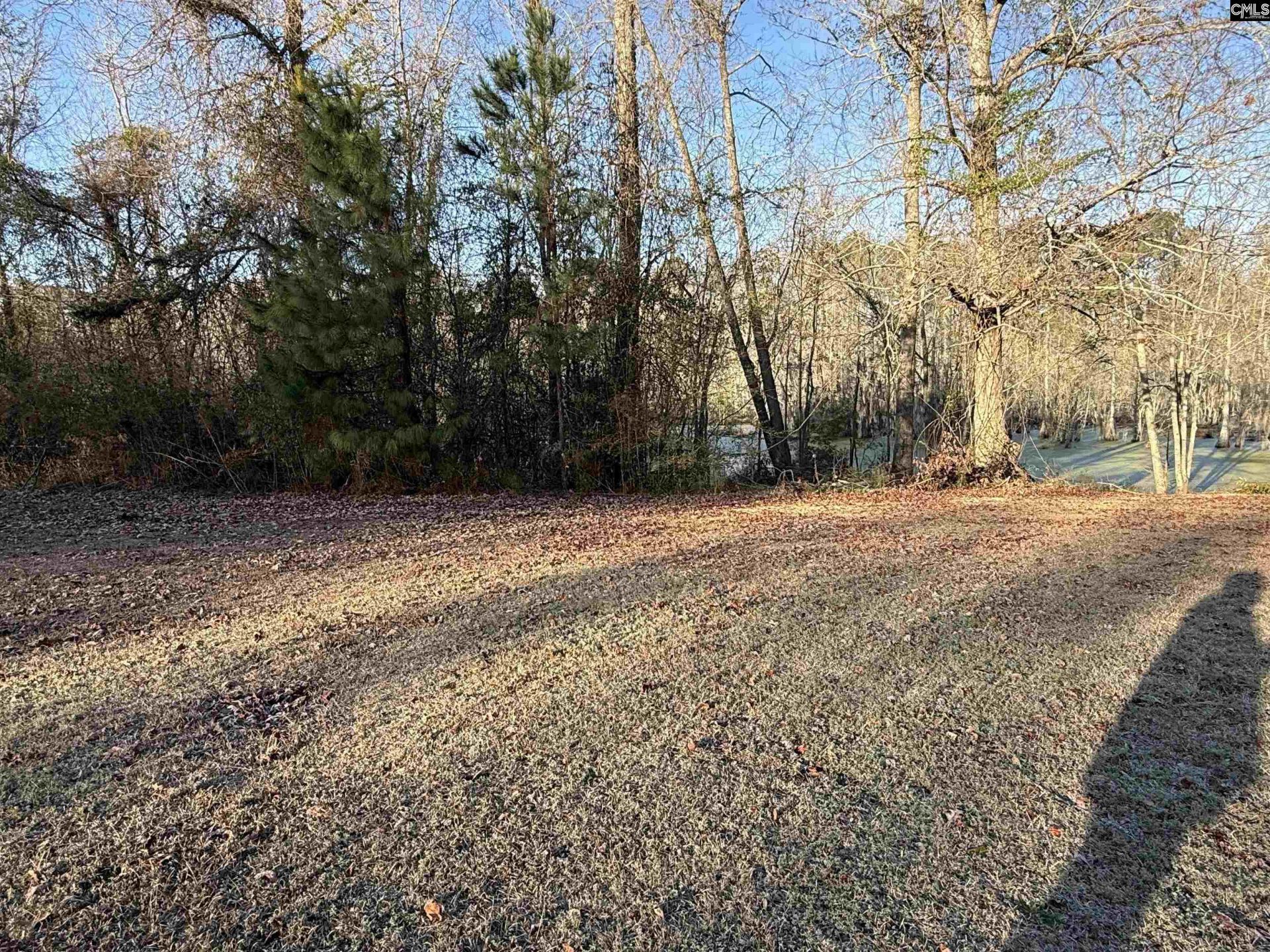 1094 Carrie Lynn Drive  Photo 13