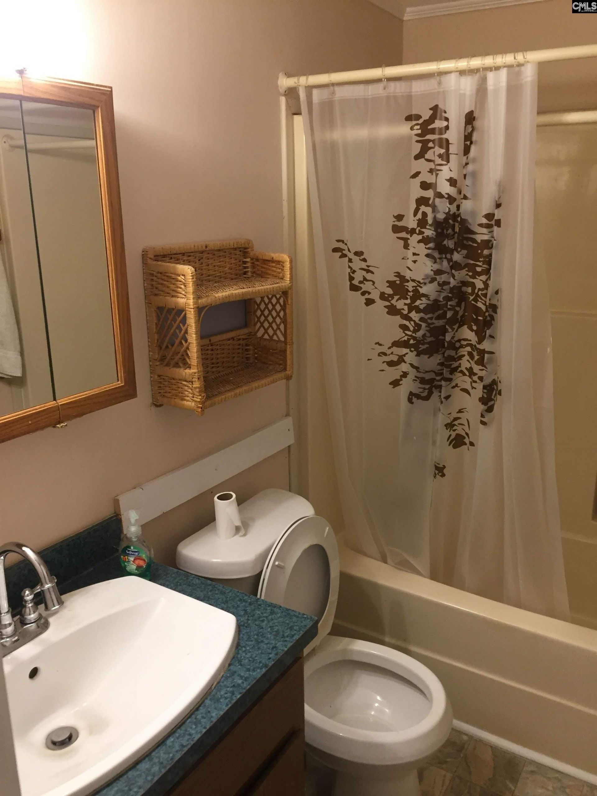 1094 Carrie Lynn Drive  Photo 16