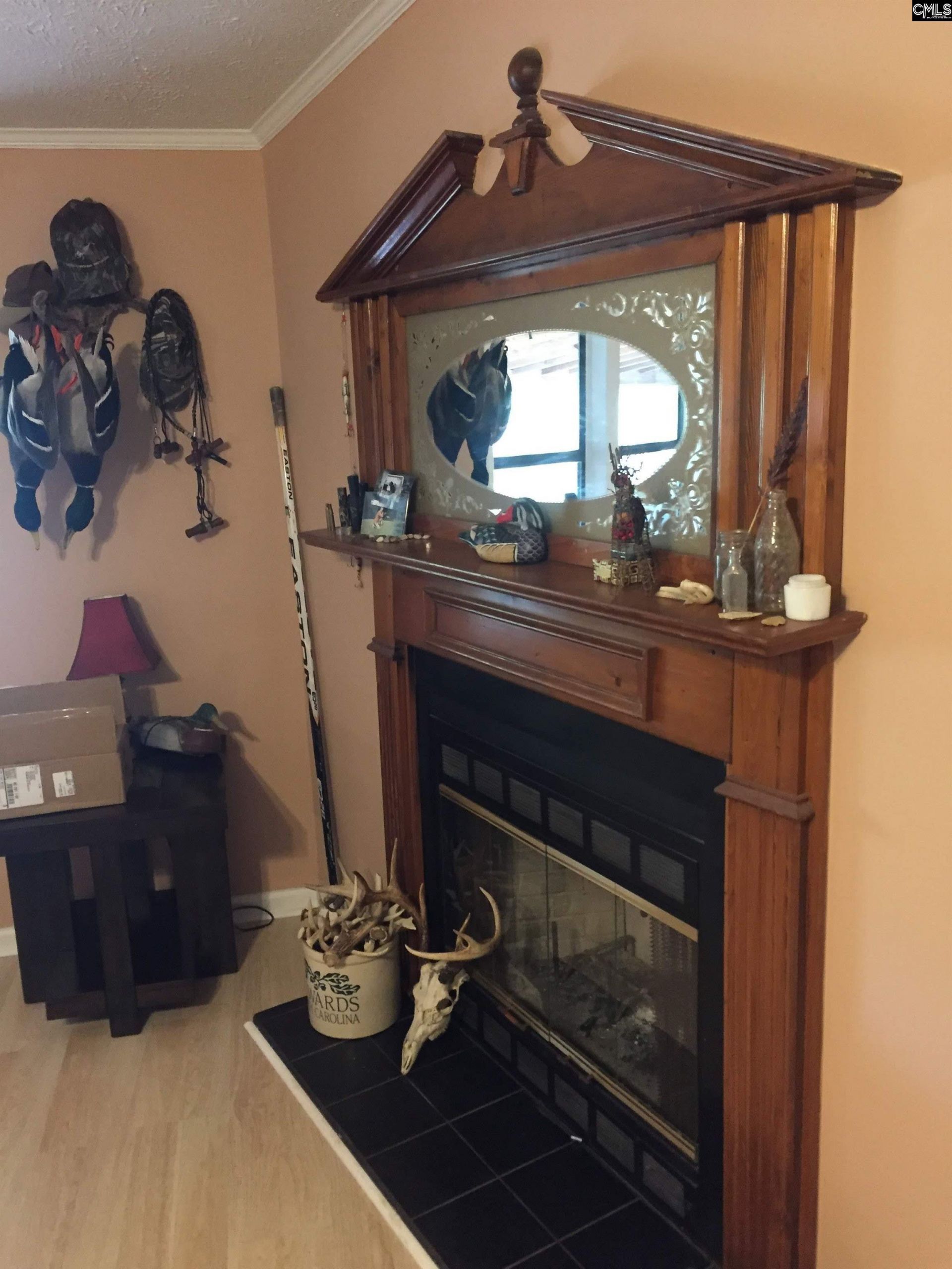 1094 Carrie Lynn Drive  Photo 5