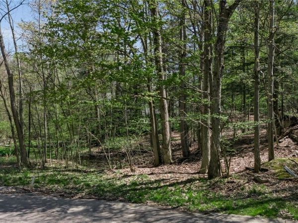 VL Middlebury 2 , Orchard Park, NY 14127