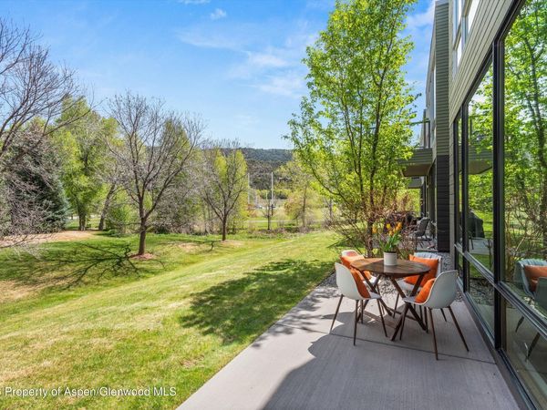 202 Evans Road, Unit 101, Basalt, CO 81621