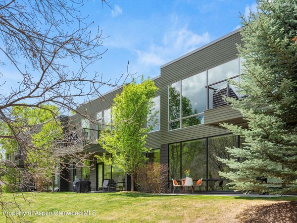 202 Evans Road, Unit 101, Basalt, CO 81621