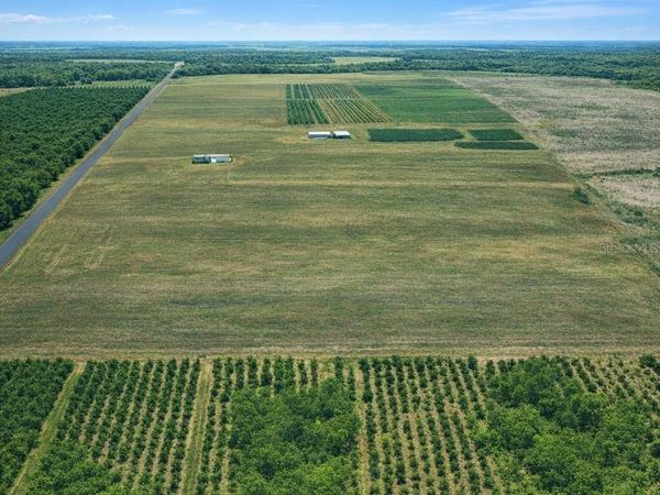 900 BUFFUM CHURCH ROAD , FORT MEADE, FL 33841
