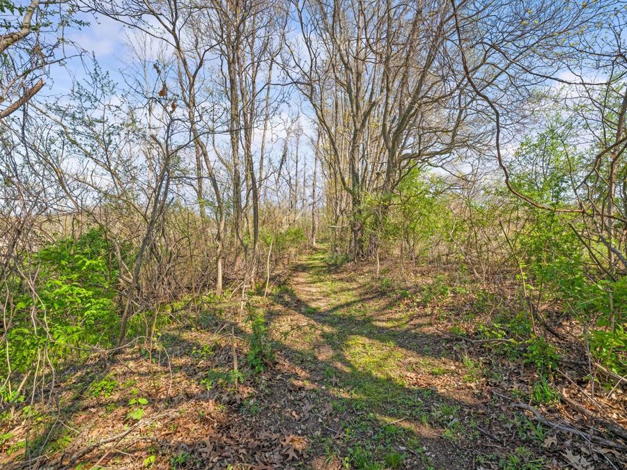 Property Image 62