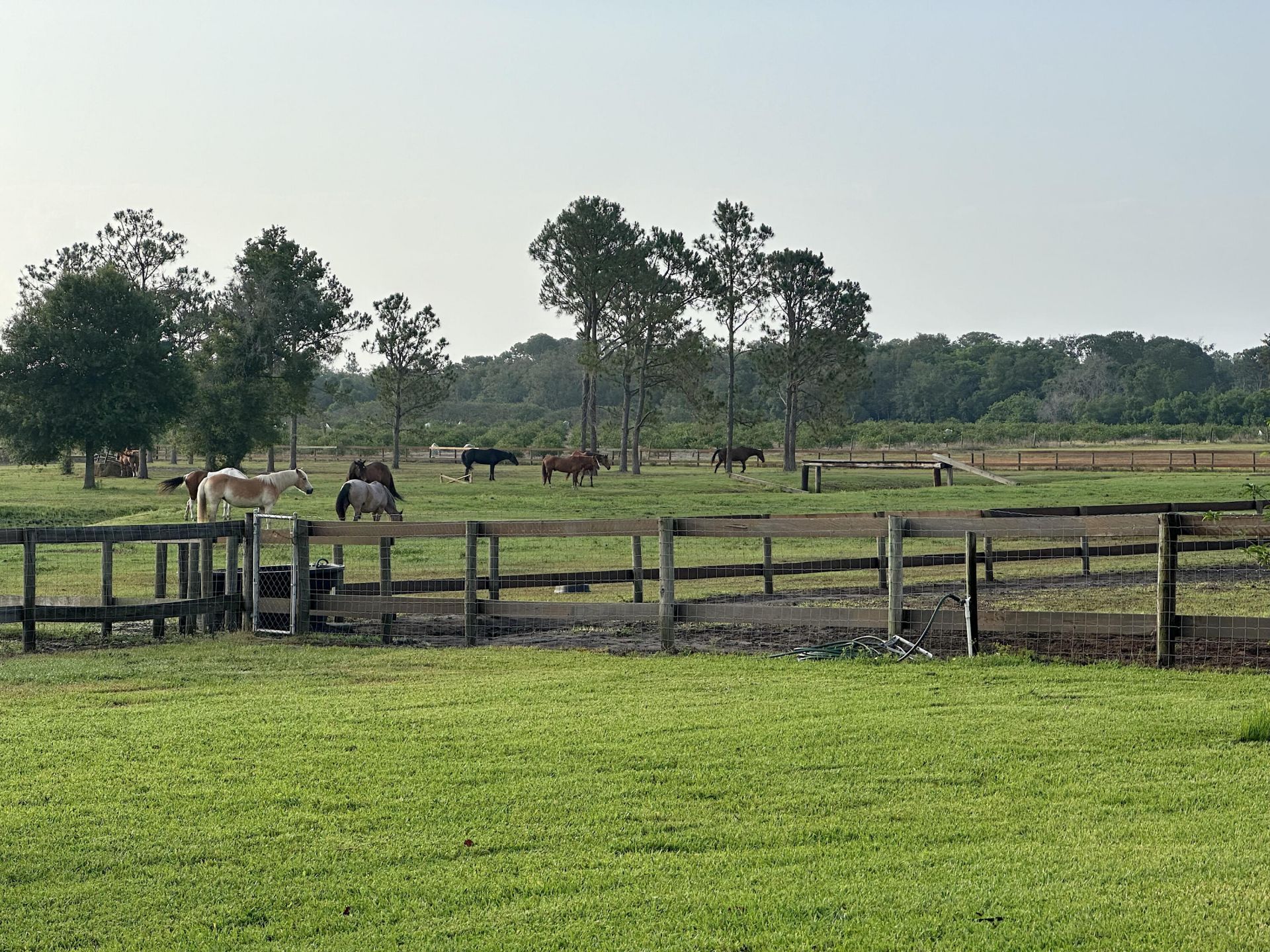 3020 N Bowden Road, Avon Park, FL 33826 Photo