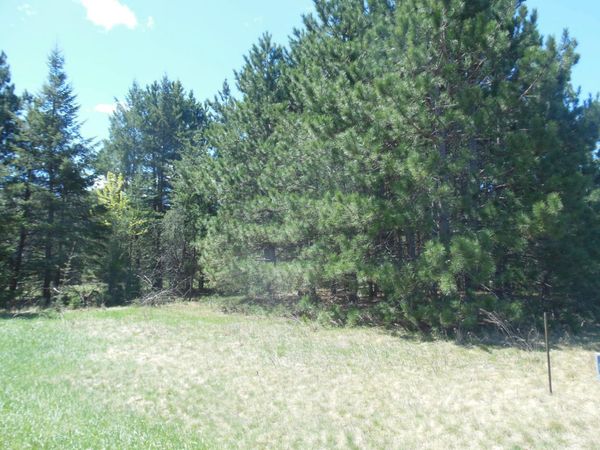 TBD Red Sequia Drive N, Brainerd, MN 56425
