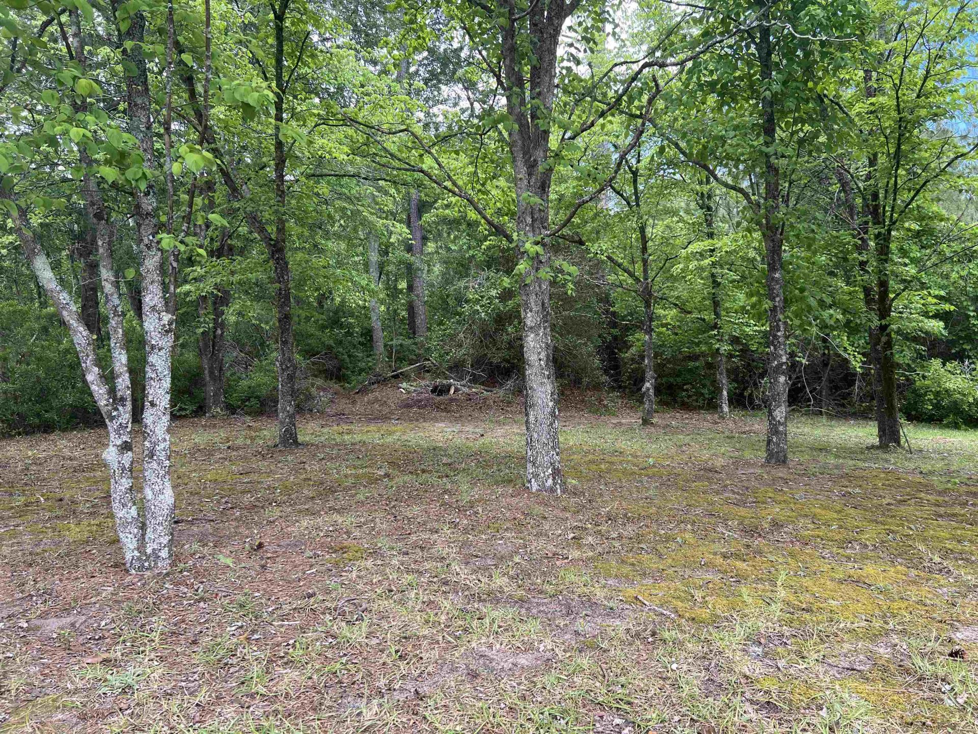 9051 Highway 917  Photo 11