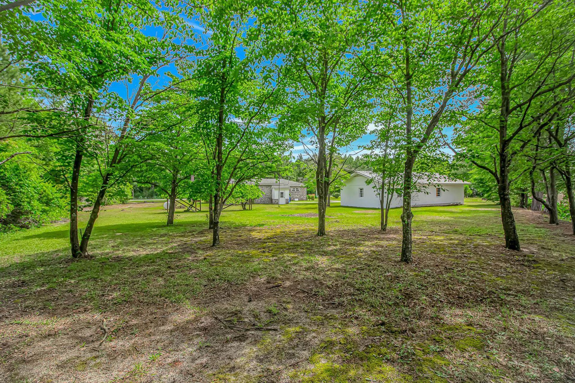 9051 Highway 917 Photo 31