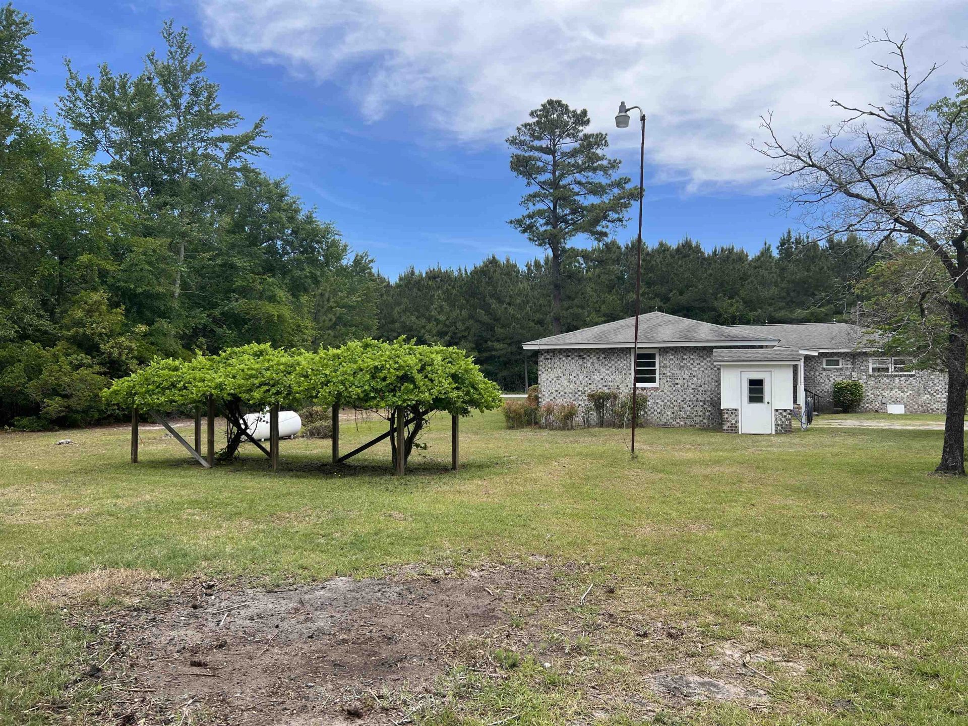9051 Highway 917  Photo 4