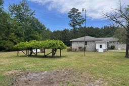 9051 Highway 917  photo 4