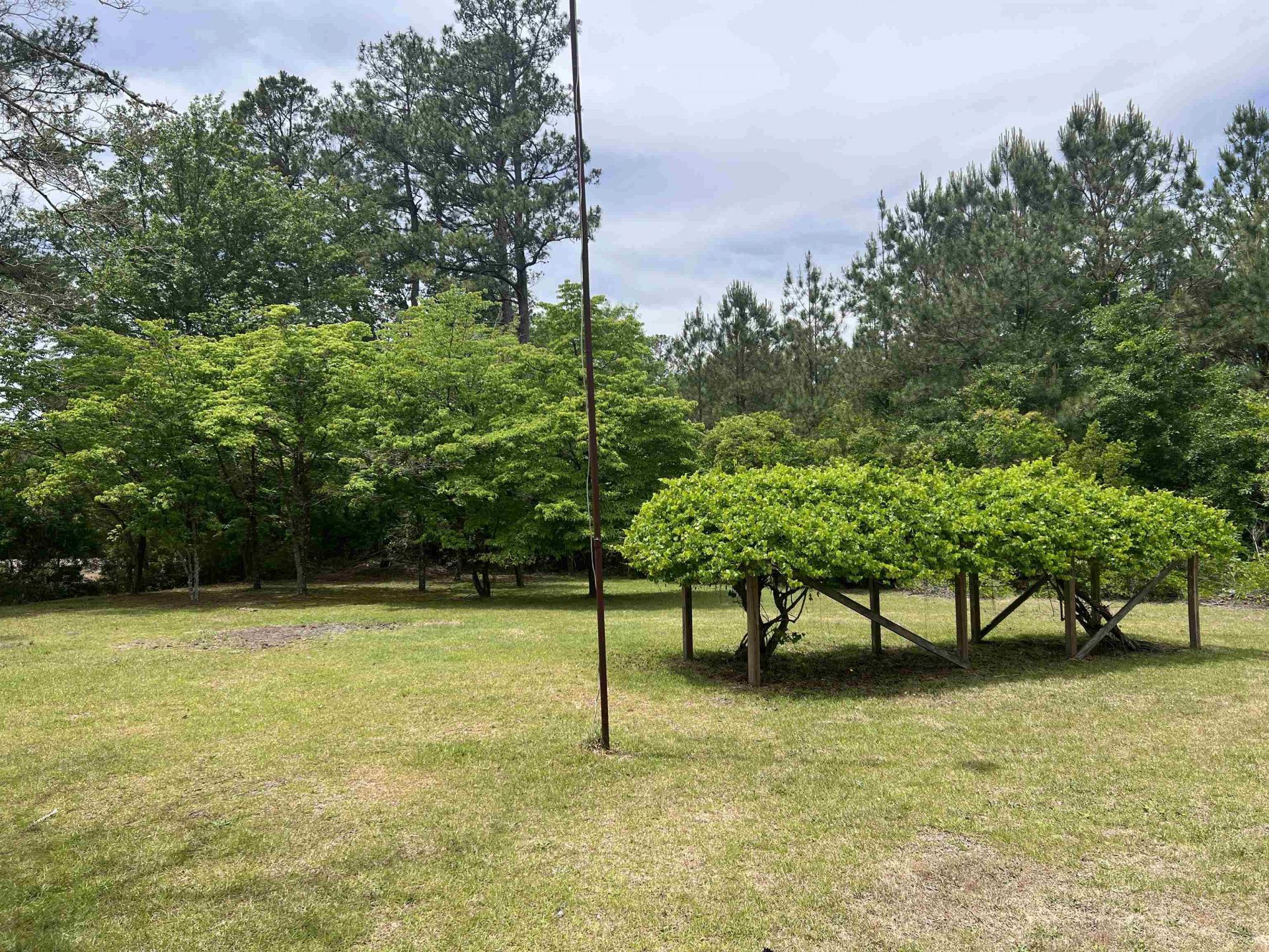 9051 Highway 917  Photo 5
