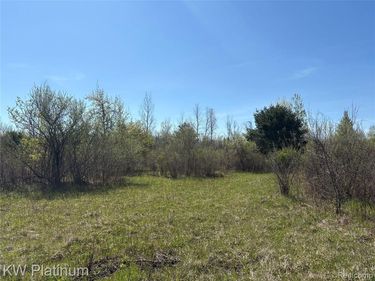 Parcel C Wicha Drive , Burtchville Twp, MI 48059