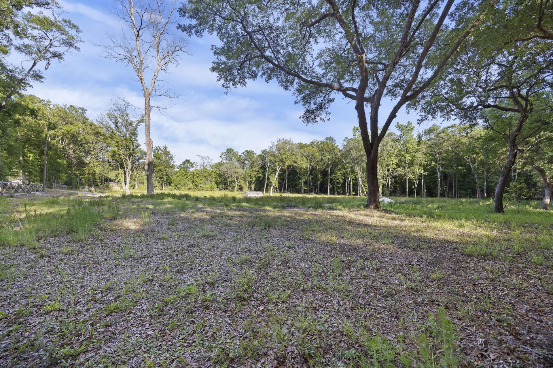 5339 S Highway 162 Photo 10