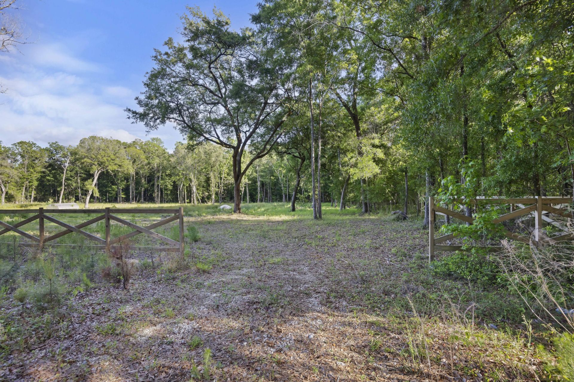 5339 S Highway 162 Photo 9
