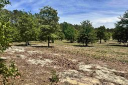 1353 Cheraw Rd  photo 4