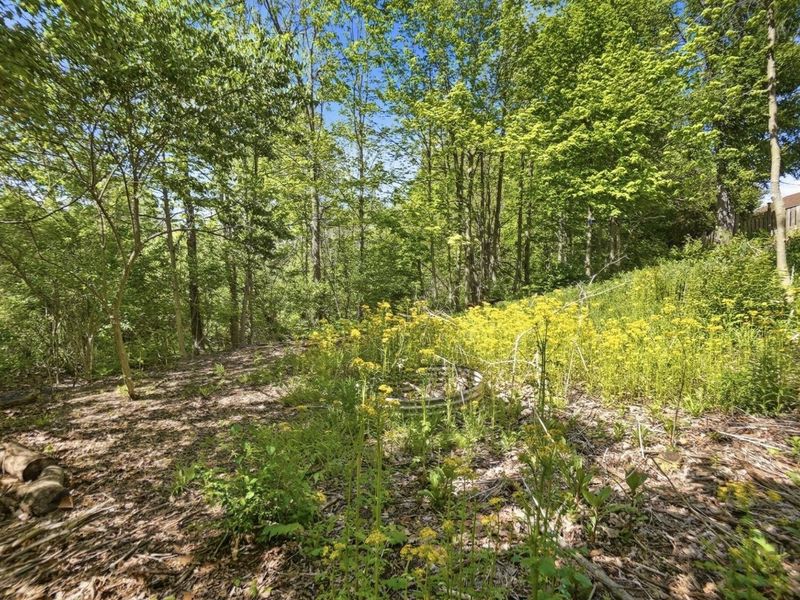 6429 Winding Tree Drive, New Carlisle, OH 45344 Photo 68