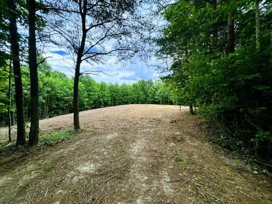 Property Image 4
