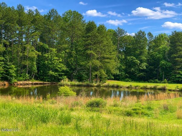 Niki Lane, Pelahatchie, MS 39145