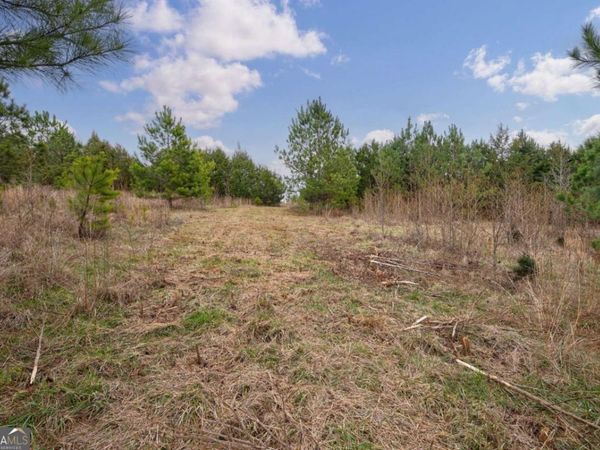 TRACT 1-A High Shoals Road, Bishop, GA 30621