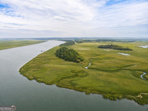 0 Lower Barbour Island, Townsend, GA 31331