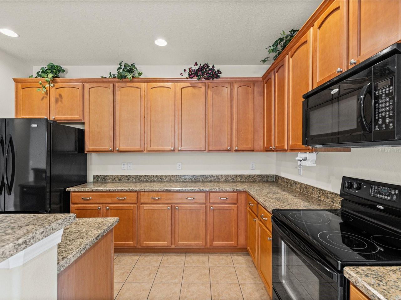 11448 Merganser Way , New Port Richey, FL 34654 Photo