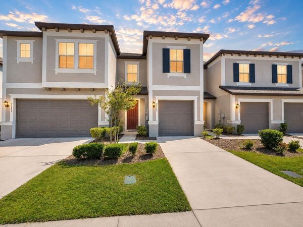 31555 BLUE PASSING LOOP , WESLEY CHAPEL, FL 33545