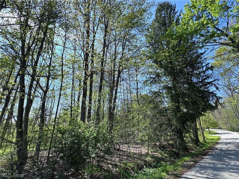 11664 Chestnutdale Road, Chardon, OH 44024 Photo 4